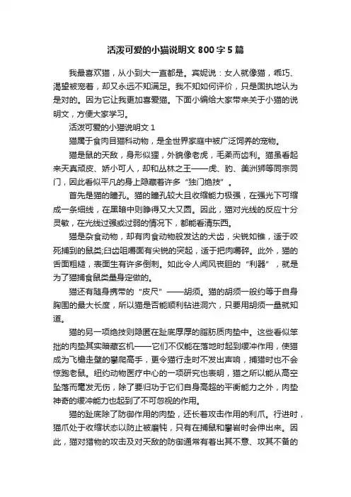 活泼可爱的小猫说明文800字5篇