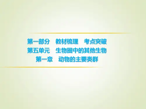 初中生物学业考试 软体动物和节肢动物