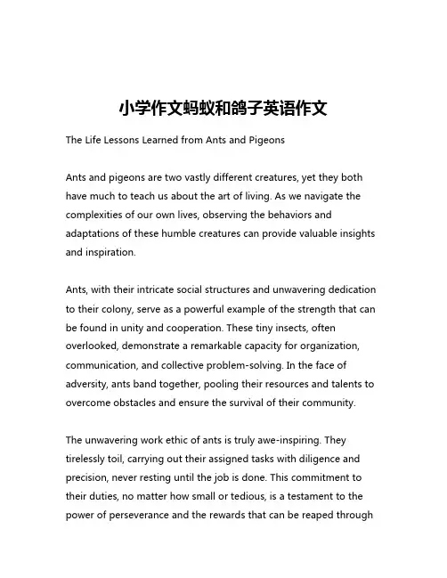 小学作文蚂蚁和鸽子英语作文
