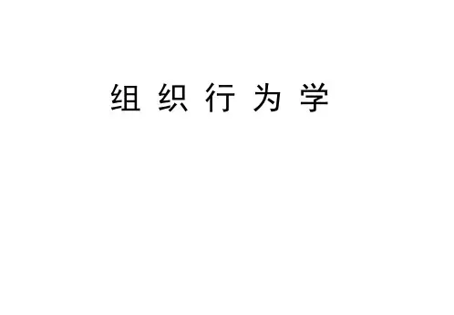 组织行为学讲义(PPT36页)