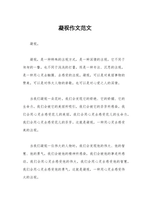 凝视作文范文