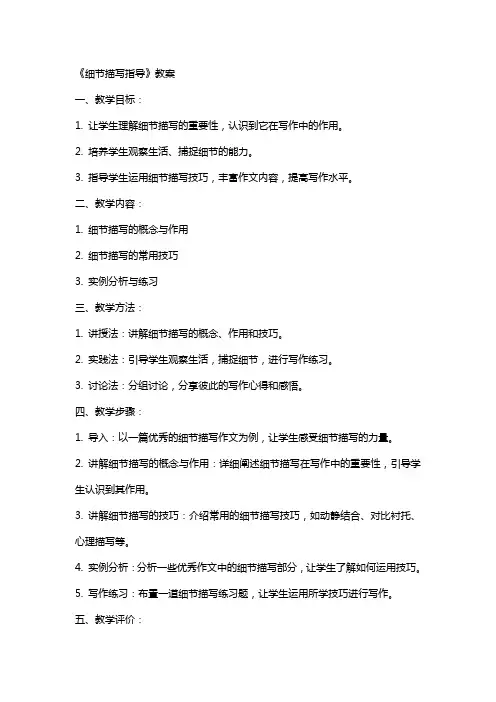 《细节描写指导》教案