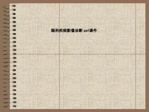 眼科疾病影像诊断  SS