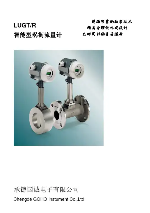 承德国诚电子 LUGT R 智能型涡街流量计 说明书