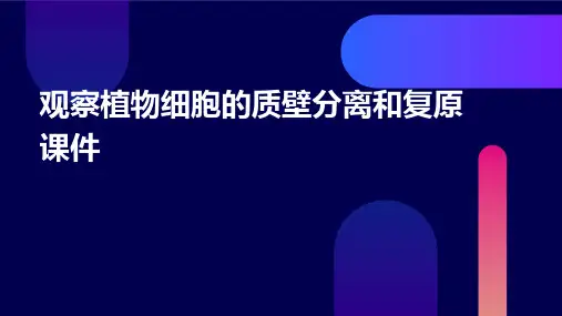 观察植物细胞的质壁分离和复原课件