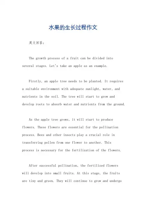水果的生长过程作文