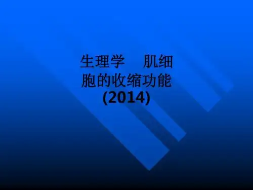 生理学    肌细胞的收缩功能(2014)ppt课件