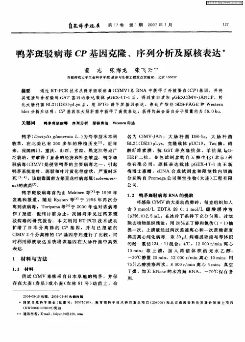 鸭茅斑驳病毒CP基因克隆、序列分析及原核表达