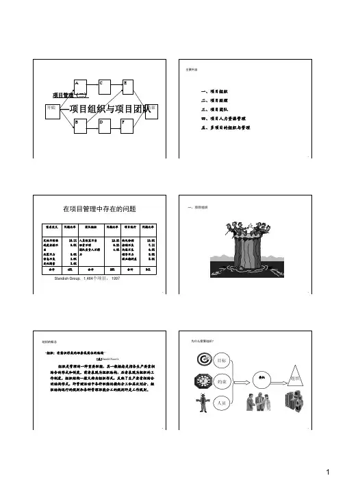 二.项目组织与项目团队(LX)