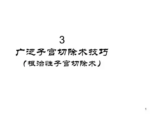 子宫切除术技巧ppt课件