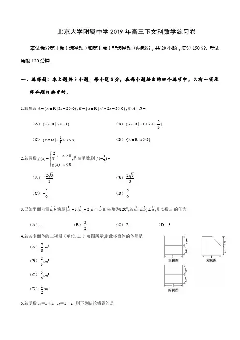 北京大学附属中学2019年高三下文科数学练习卷(4月23日)