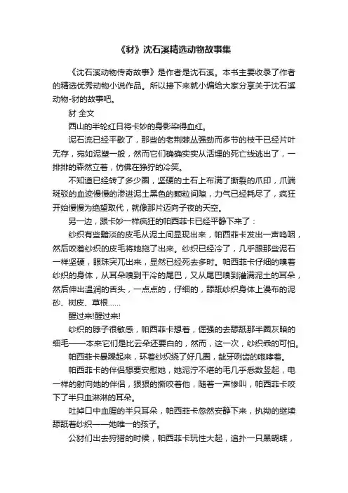 《豺》沈石溪精选动物故事集