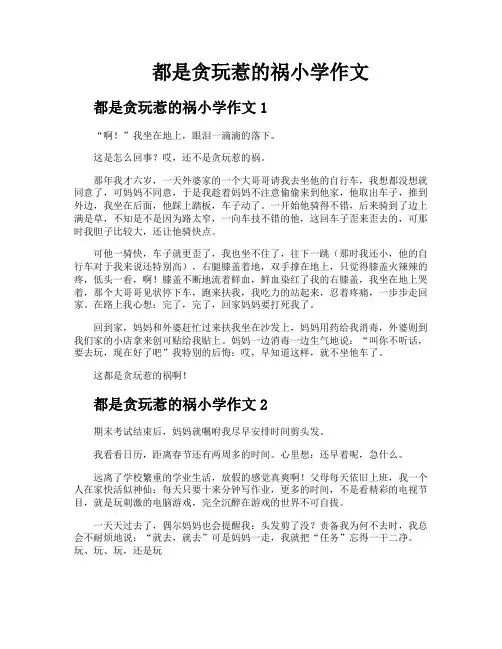 都是贪玩惹的祸小学作文