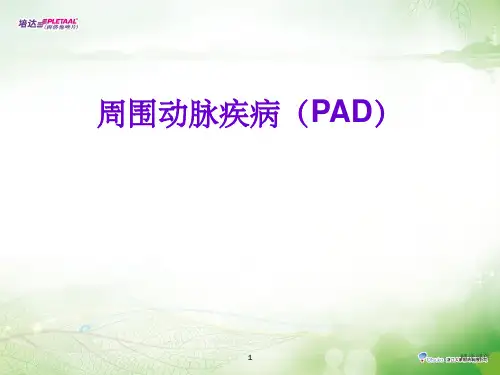 周围血管疾病(PAD)