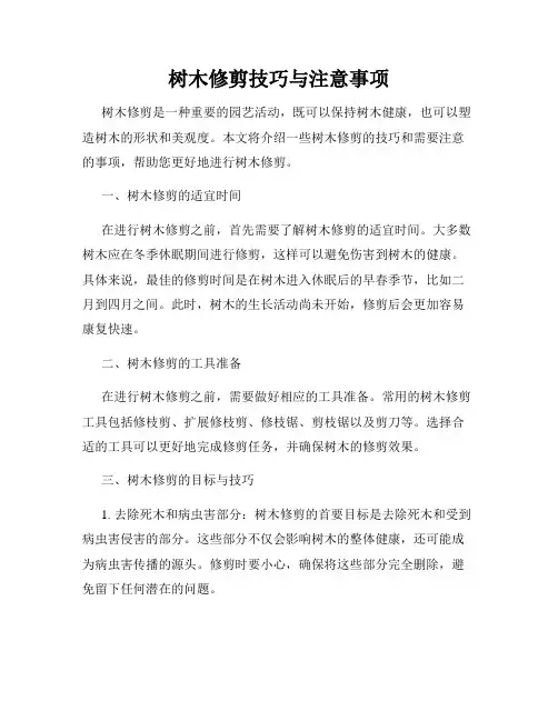 树木修剪技巧与注意事项