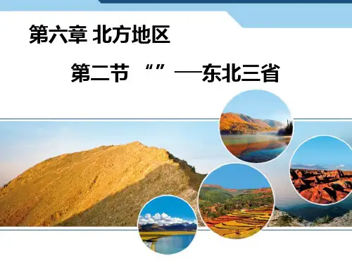 第二节白山黑水东北三省PPT课件