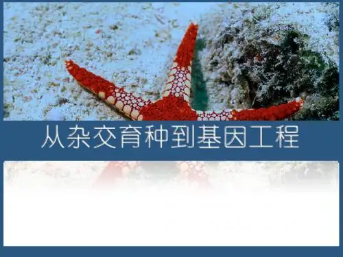 6.1杂交育种与诱变育种