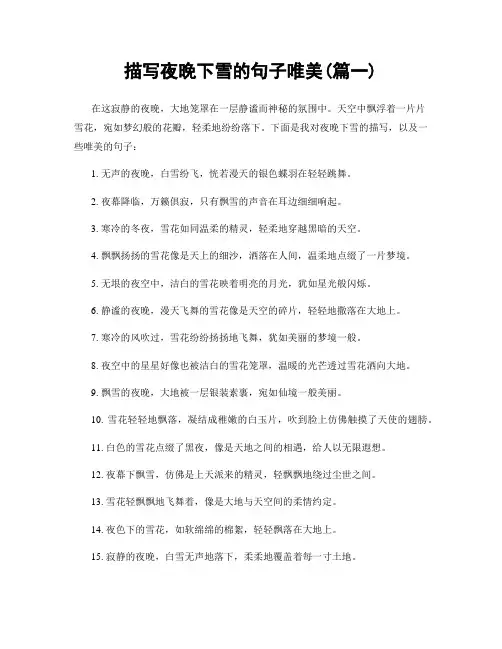 描写夜晚下雪的句子唯美(精选两篇)