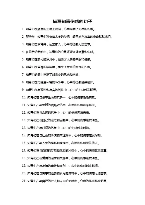 描写知青伤感的句子