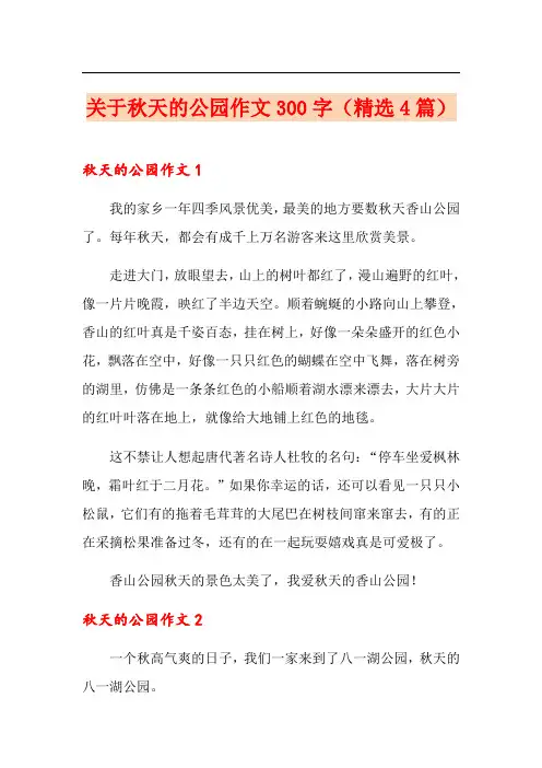 关于秋天的公园作文300字(精选4篇)