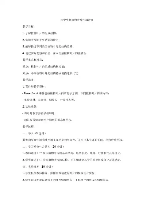 初中生物植物叶片结构教案