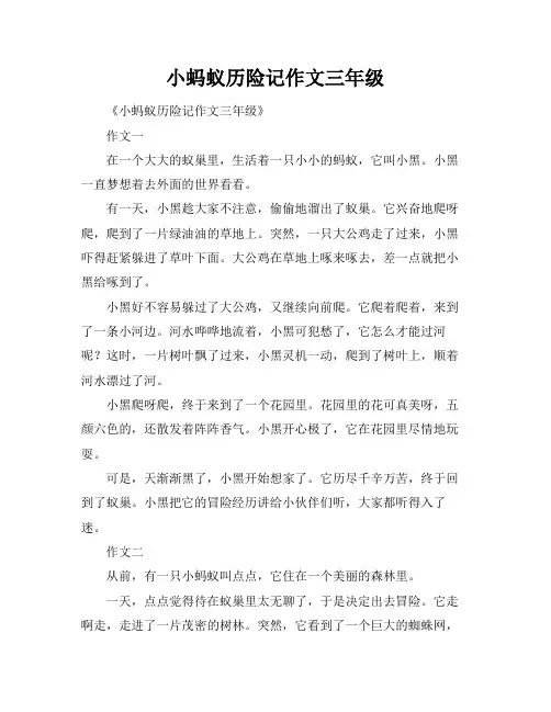 小蚂蚁历险记作文三年级