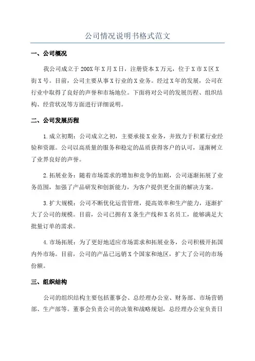 公司情况说明书格式范文