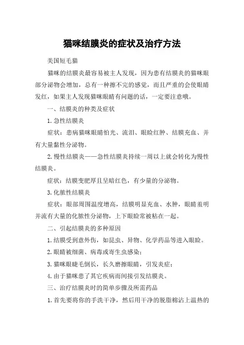 猫咪结膜炎的症状及治疗方法