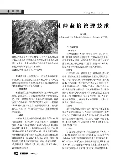 杜仲栽培管理技术