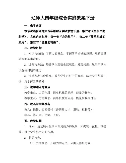辽师大四年级综合实践教案下册