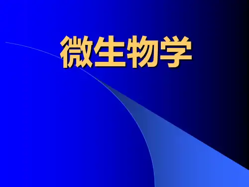 微生物学 细菌的生理