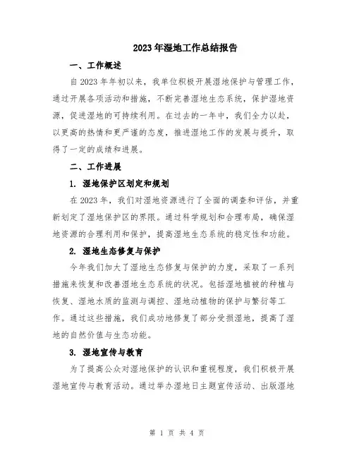 2023年湿地工作总结报告