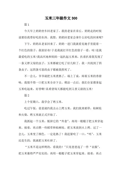 玉米三年级作文300