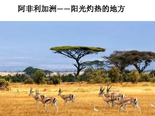 6.2非洲(概况位置地形)课件地理七年级下册