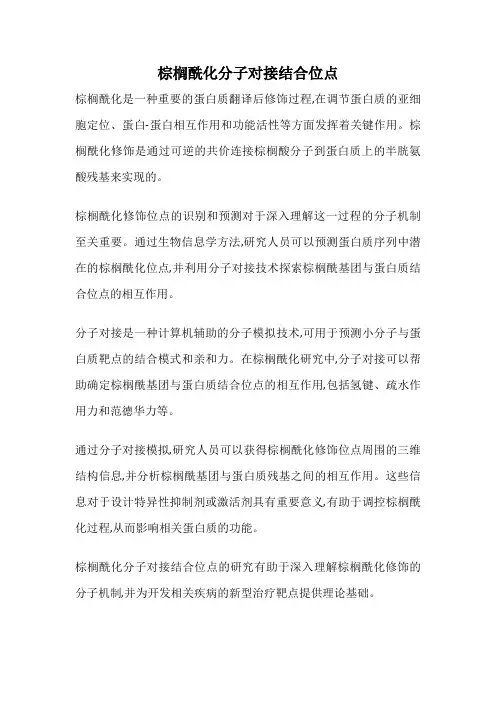 棕榈酰化分子对接结合位点
