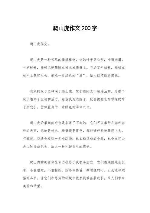 爬山虎作文200字