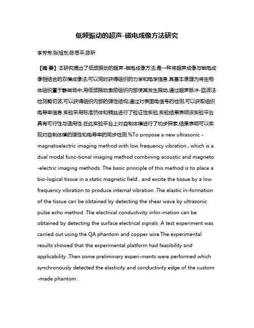 低频振动的超声-磁电成像方法研究