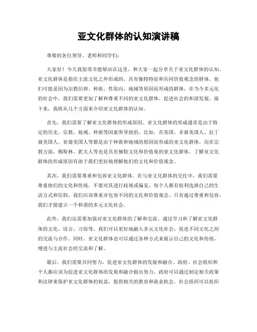 亚文化群体的认知演讲稿