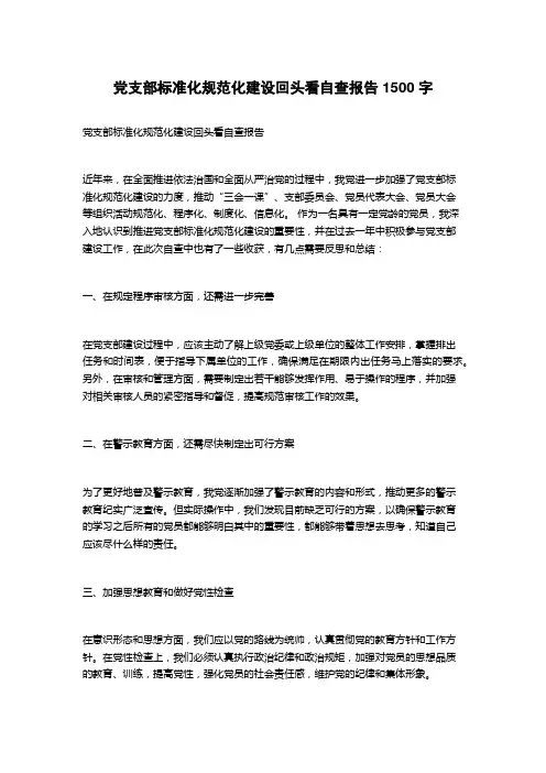 党支部标准化规范化建设回头看自查报告