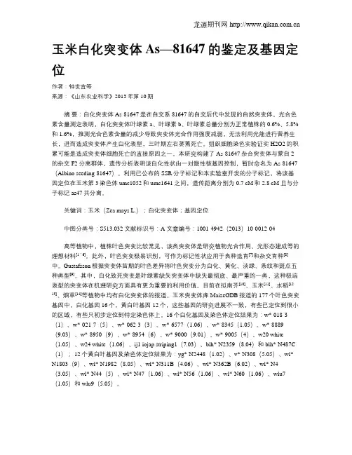玉米白化突变体As—81647的鉴定及基因定位