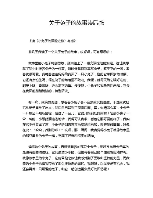 关于兔子的故事读后感