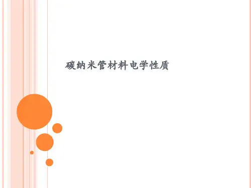 碳基纳米管