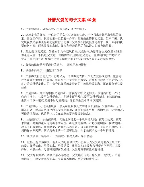 抒情父爱的句子文案46条