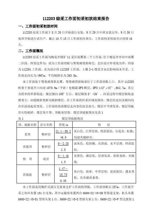 112203综采工作面初采初放报告