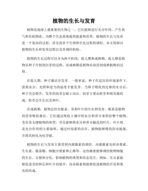 植物的生长与发育