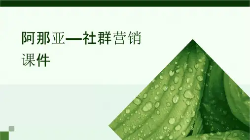 阿那亚—社群营销课件
