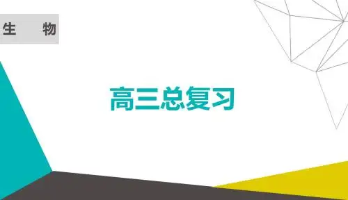 2019版高考生物微一轮全国通用版：能量流动的相关计算