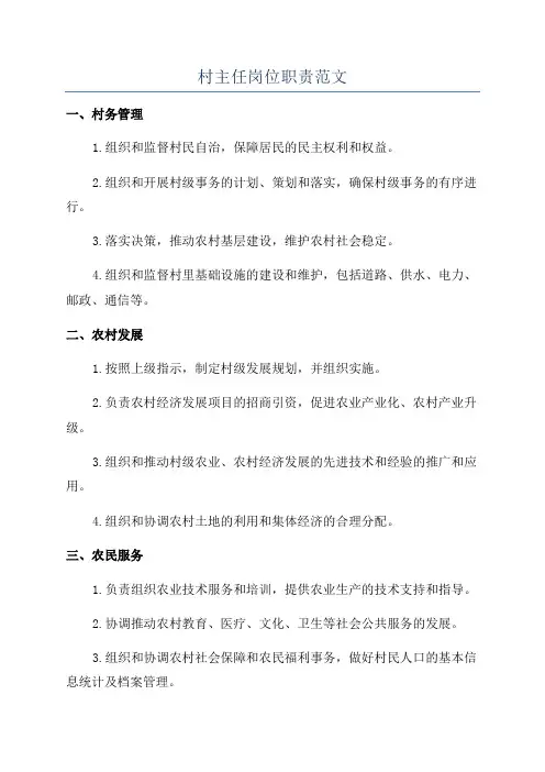 村主任岗位职责范文