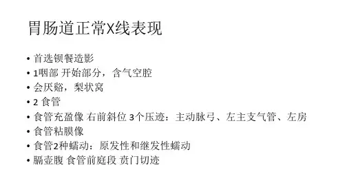 消化系统-胃肠道造影