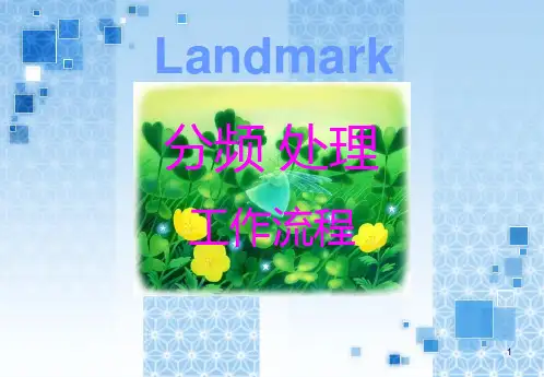 landmark分频处理流程PPT课件